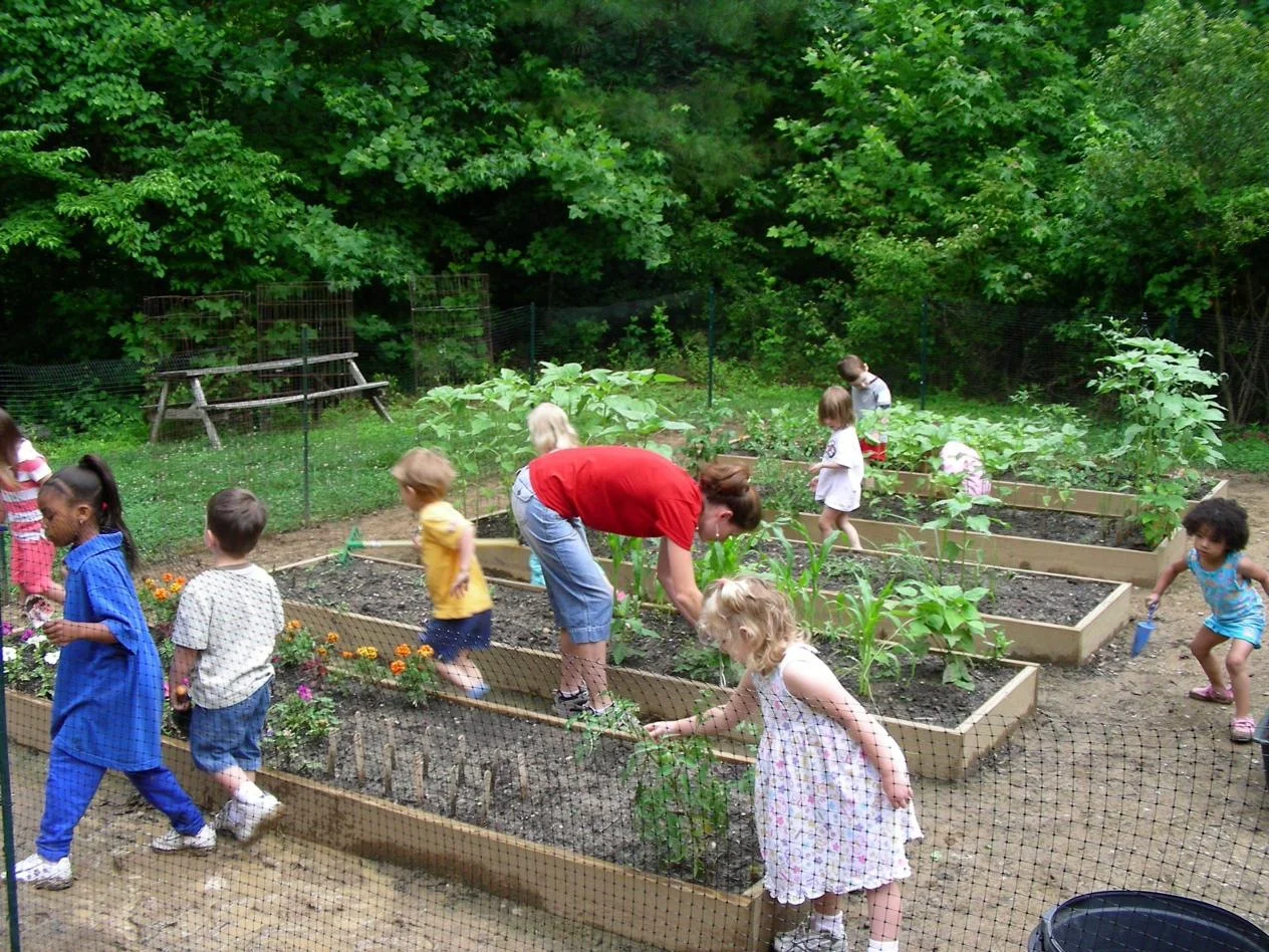 Children and an adult working in raised garden beds