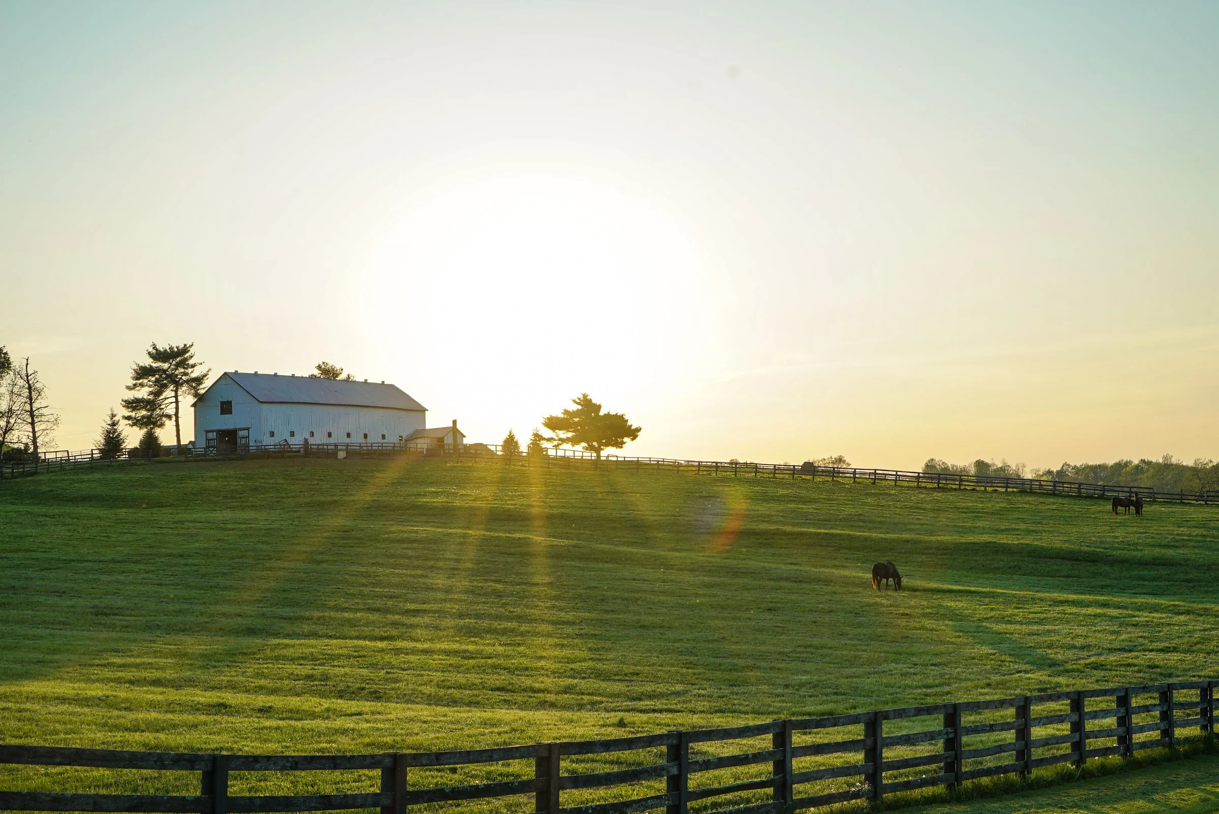 hero-farm-dawn